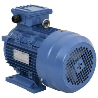 3-faasiline elektrimootor 3 kW/4 hj 2 poolust 2840 p/min