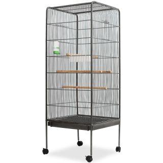 linnupuur, must, 54 x 54 x 146 cm, teras