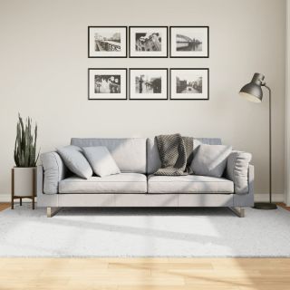 vaip OVIEDO lühikese narmaga, hall, 160 x 230 cm