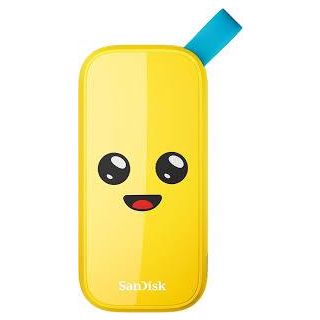 External SSD|SANDISK|1TB|USB 3.2|Read speed 800 MBytes/sec|SDSSDE30-1T00-G25F