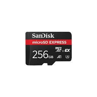 MEMORY MICRO SDXC 256GB UHS-I/SDSQXFN-256G-GN4NN SANDISK