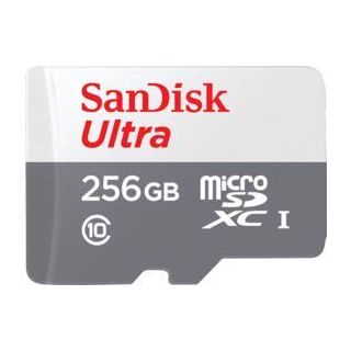 MEMORY MICRO SDXC 256GB UHS-I/SDSQUNR-256G-GN6TA SANDISK