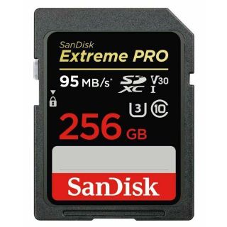 MEMORY SDXC 256GB UHS-1/SDSDXXD-256G-GN4IN SANDISK