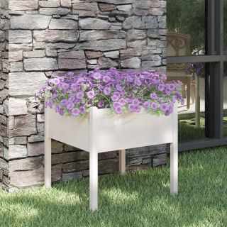 aia taimekast, valge, 70 x 70 x 70 cm, männipuit