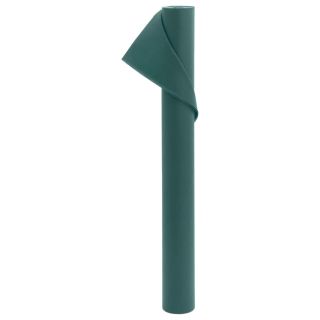 taime fliiskate, 70 g/m², 10x1,6 m