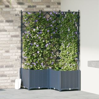 Aia taimede alus trellisega 3 tk Hall 80x80x143 cm