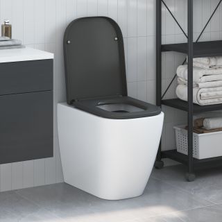 Kiire vabastamise WC iste koos pehme sulgemisega Duroplast Antraktiit
