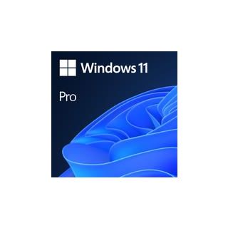 Software|MICROSOFT|Win 11 Pro 64Bit Eng Intl 1pk DSP OEI DVD|Win Pro|OEM|English|FQC-10528