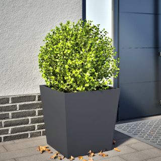 aia taimekast, antratsiithall, 50 x 50 x 50 cm, teras