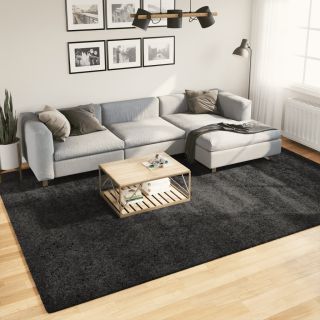 kõrge narmaga Shaggy vaip PAMPLONA, antratsiithall 240x340 cm