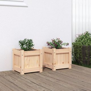 aia taimekastid 2 tk, männipuit