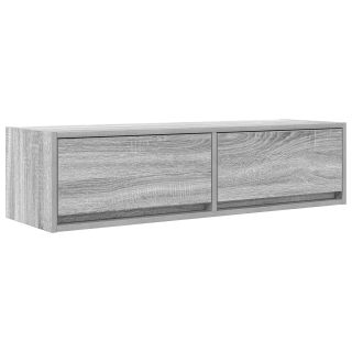 TV kapp Hall Sonoma 100x31x25,5 cm Tehispuit