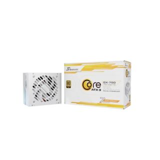 Power Supply|SEASONIC|CORE GX White|750 Watts|Efficiency 80 PLUS GOLD|MTBF 100000 hours|SRP-CGX751-A5A32SF-W