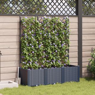 Trellisega aianduskast 3 tk Hall 120x40x143 cm