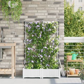 Aiakast ristiku 2 tk Valge 80x40x125.5 cm