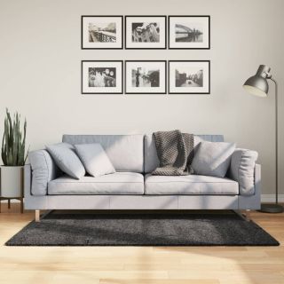 kõrge narmaga Shaggy vaip PAMPLONA, antratsiithall 120x170 cm