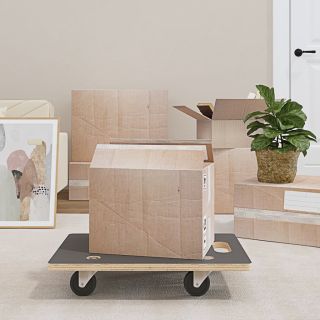 transpordikäru 2 tk, ristküliku kuju, 60x40x11,5 cm 250 kg