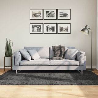 kõrge narmaga Shaggy vaip PAMPLONA, antratsiithall 140x200 cm
