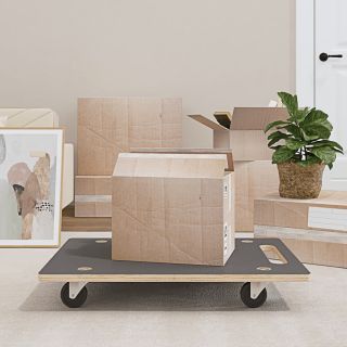 transpordikäru 2 tk, ristküliku kuju, 80x55x11,5 cm 250 kg