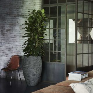 Capi vaas Nature Rib elegantne Deluxe 45 x 72 cm, antratsiithall