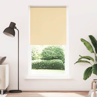 Ruloo pimendav Beež 100x210 cm Kanga laius 95,7 cm polüester