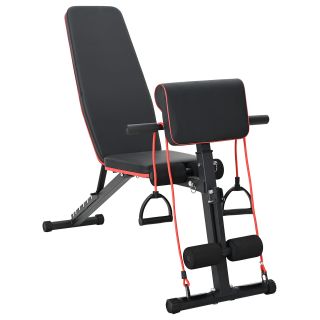 Reguleeritav Kaalupink Vastupanuribadega 150 kg Must Teras