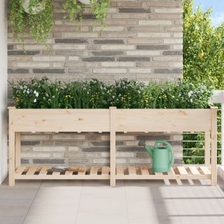 Aedade kast riiuliga 203x53x76 cm Tugev Puit Kuusk
