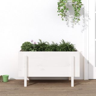 kõrgendatud aia taimelava, valge, 101 x 50 x 57 cm, männipuit