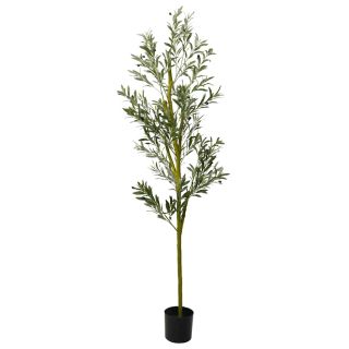 Kunstlik oliivipuu 800 Lehed 200 cm Rohelised