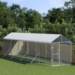 katusega koeraaedik, hõbedane, 2x10x2,5 m, tsingitud teras