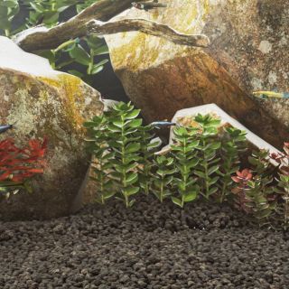 vulkaanilised kivimid 10 kg, must, 1-2 cm