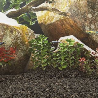 basalt kivim, 25 kg, must, 5-8 mm