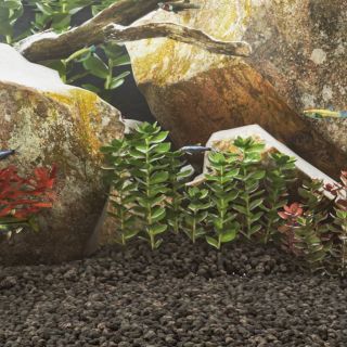basalt kivim, 10 kg, must, 1-3 mm