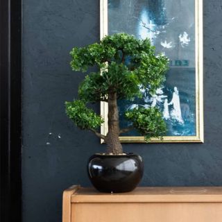 Emerald kunstlik viigimarja minibonsai, roheline, 47 cm, 420006