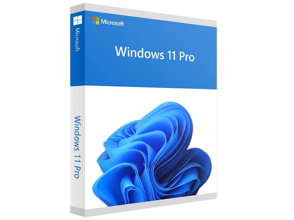 Microsoft Windows 11 Pro FPP litsentsi karp ja USB