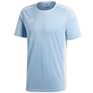 adidas Entrada 18 Jr CD8414 football jersey