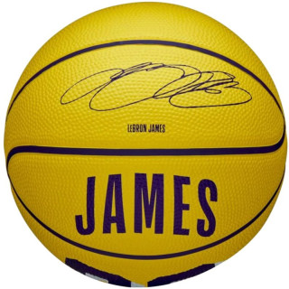 Wilson NBA Player Icon LeBron James Mini Ball WZ4027701XB Basketball