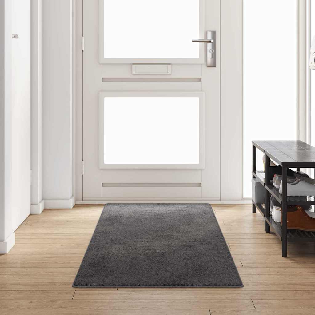 Vaip jooksur Hall 80 x 300 cm 100% polüpropüleen tuft