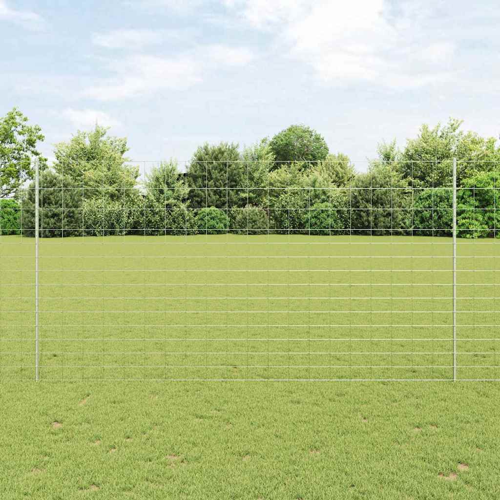 Aed koos postidega Hõbedane 1.6 x 25 m Teras