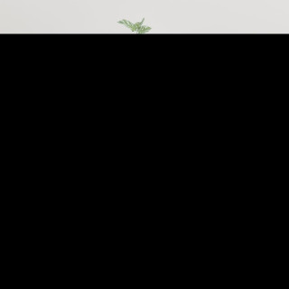 seinale kinnitatav telerikapp, kõrgläikega valge, 40x34,5x80 cm