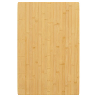 lauaplaat, 60x100x2,5 cm, bambus