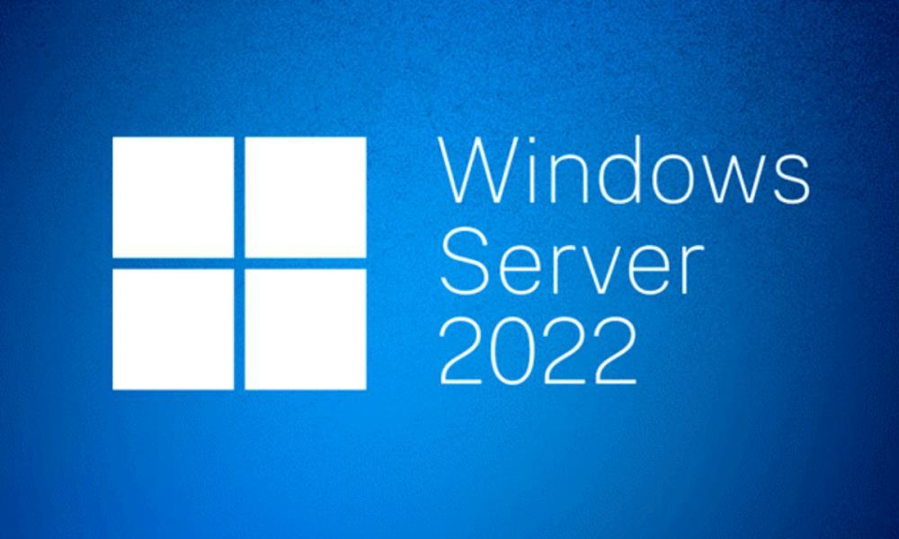 Windows Server 2022 Standard litsentsi pakend