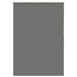 Рулонная штора, затемняющая, серая, 100x175 см, ширина ткани 95,7 см, полиэстер