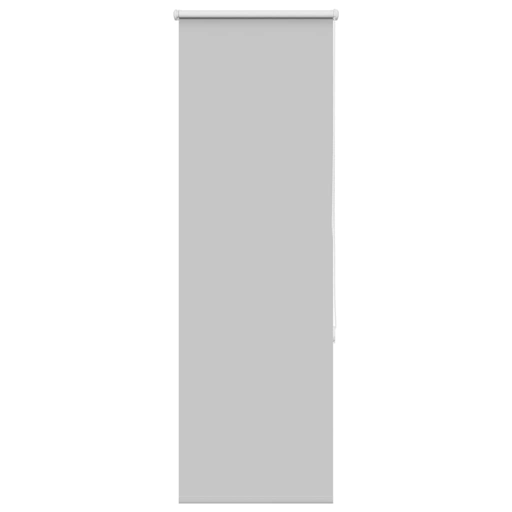 pimendav ruloo helehall 60x150 cm kanga laius 55,7 cm polüester