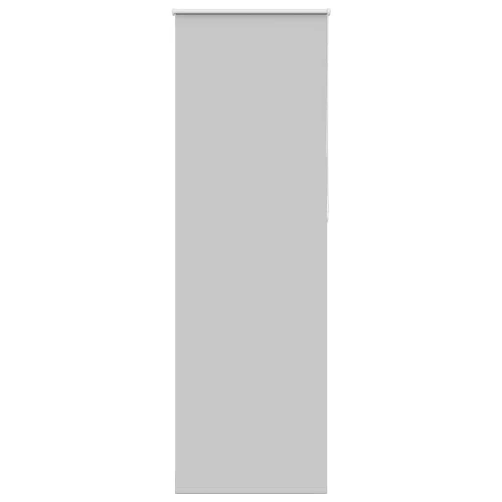 pimendav ruloo helehall 65x230 cm kanga laius 60,7 cm polüester