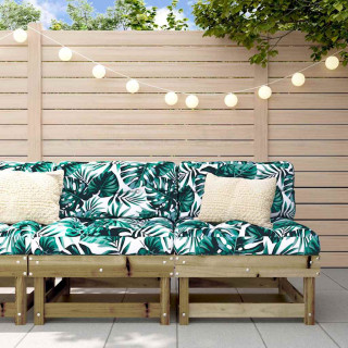 keskmised diivaniosad patjadega 2 tk, immutatud männipuit