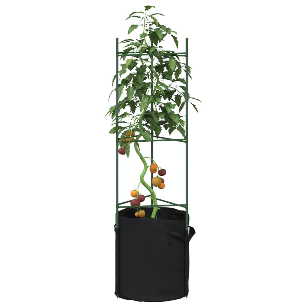 tomatitaime tugi koos taimekotiga 2 tk, 116 cm, teras ja PP