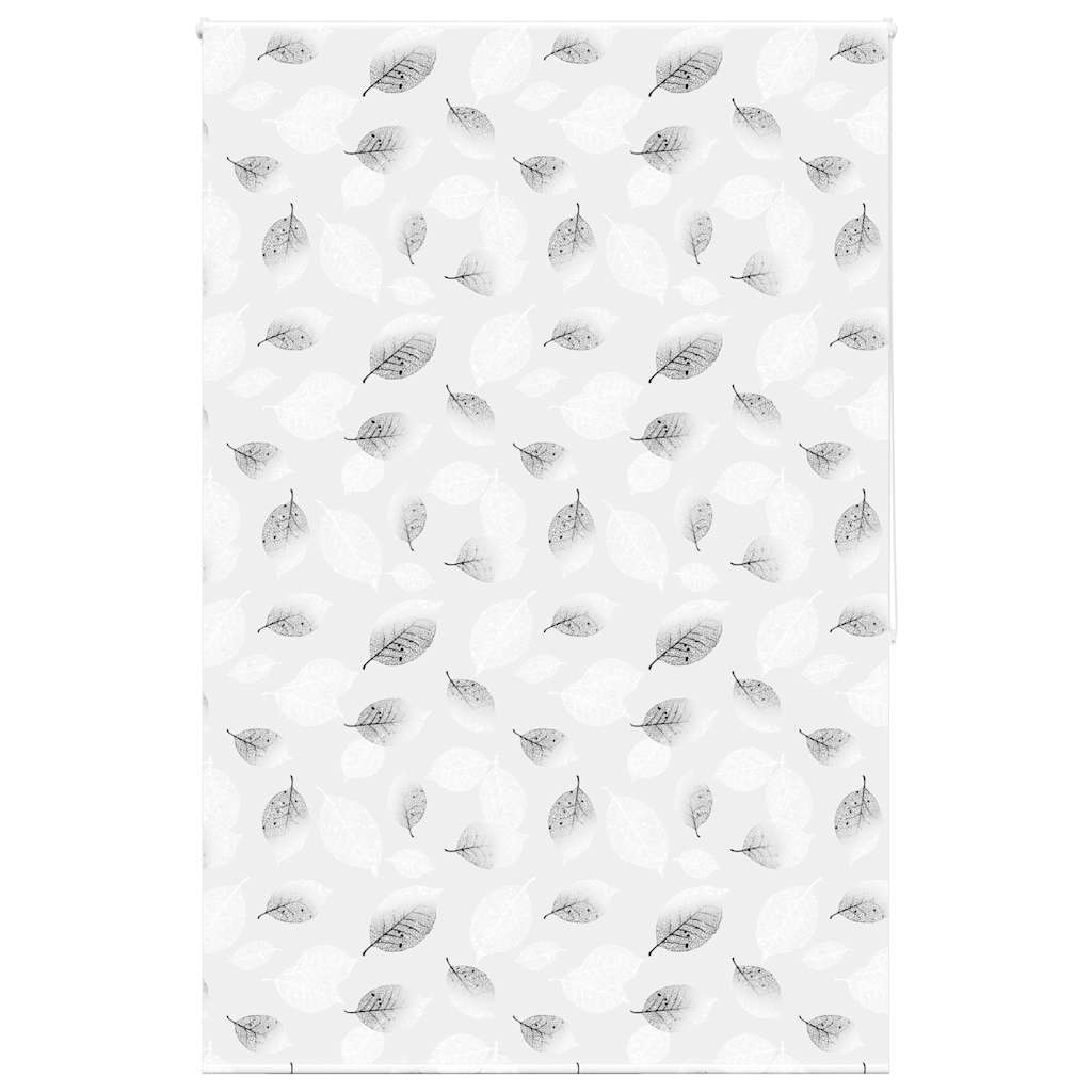 duširull ruloo 150x240 cm kanga laius 146 cm