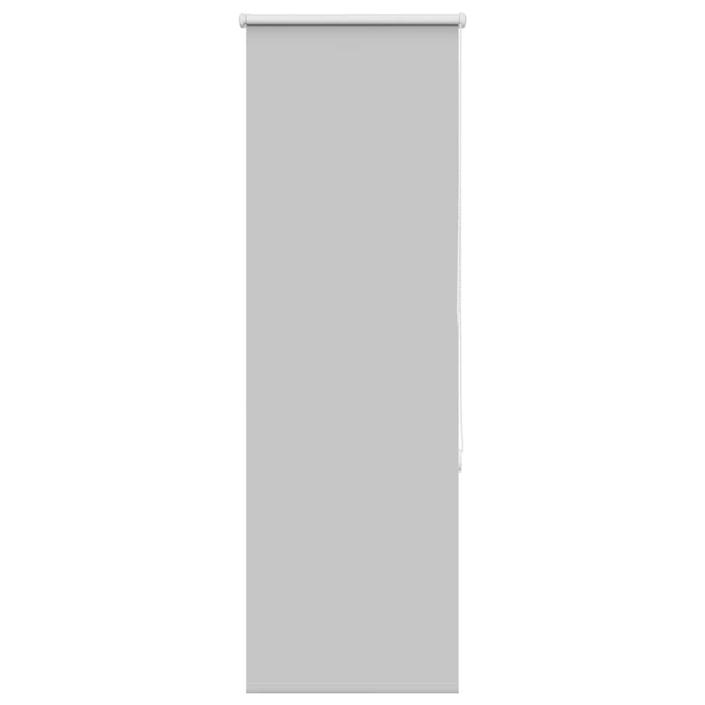 pimendav ruloo helehall 40x150 cm kanga laius 35,7 cm polüester