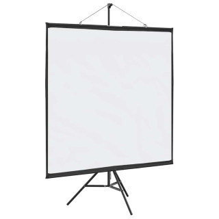 projektsioonekraan statiiviga 81 tolli 1:1